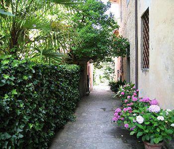 Fattoria Di Bacchereto - Guest House Екстериор снимка